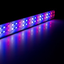 LEDACUARIOS Barra doble...