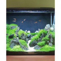 LEDACUARIOS Barra doble 82cm 35W