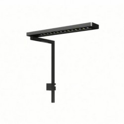 MICMOL SOLO PLANTADO