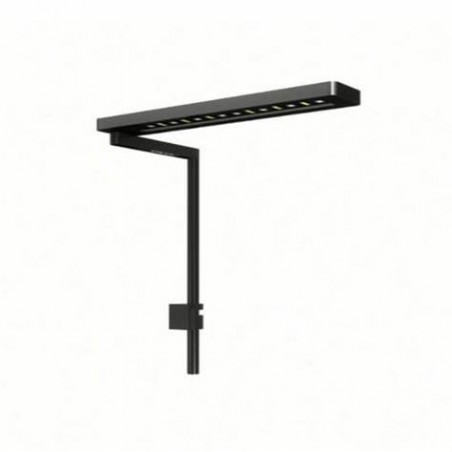 copy of MICMOL SOLO MARINO