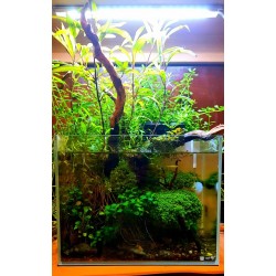 LEDACUARIOS Barra doble 100cm 44W