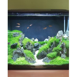 LEDACUARIOS Barra doble 100cm 44W